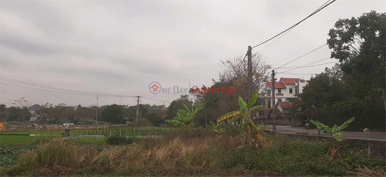 OWNER Needs to Quickly Sell 2 LOT OF LAND in Dong Tinh Commune, Tam Duong District, Vinh Phuc. Vietnam Sales | đ 425 Million