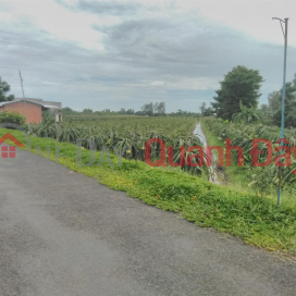 OWNERS NEED TO SELL URGENT Lot Beautiful Location In Phong Dien, City. Can Tho _0
