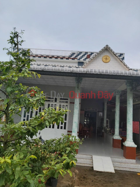 BEAUTIFUL LAND - GOOD PRICE - OWNER Urgently Selling Land Lot in Beautiful Location in Binh Thanh Commune, Cao Lanh District, Dong Thap _0