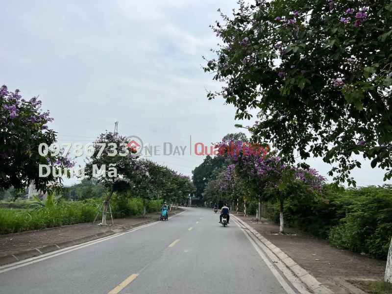 LAND IN TRANG AN-CHUC SON TT-CHUONG MY, Vietnam, Sales, đ 3.2 Billion