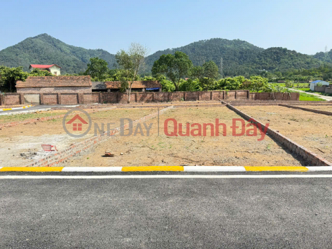 Land for sale in Phu Thinh village, Minh Phu commune, Soc Son district. Paved road. Near Viet Phu Thanh Chuong. _0