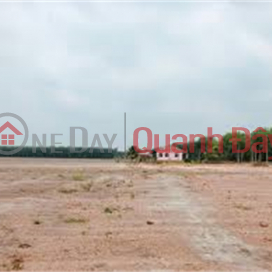 Selling 12ha of land for warehouse and factory for 50 years in Thuan Thanh District, Bac Ninh Province _0
