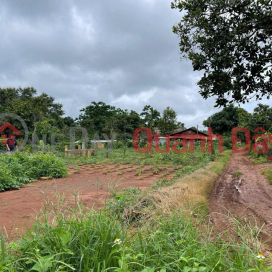 SHOCKING PRICE - OWNER Needs to Quickly Sell Land Lot Located in M'gar District, Dak Lak Province _0