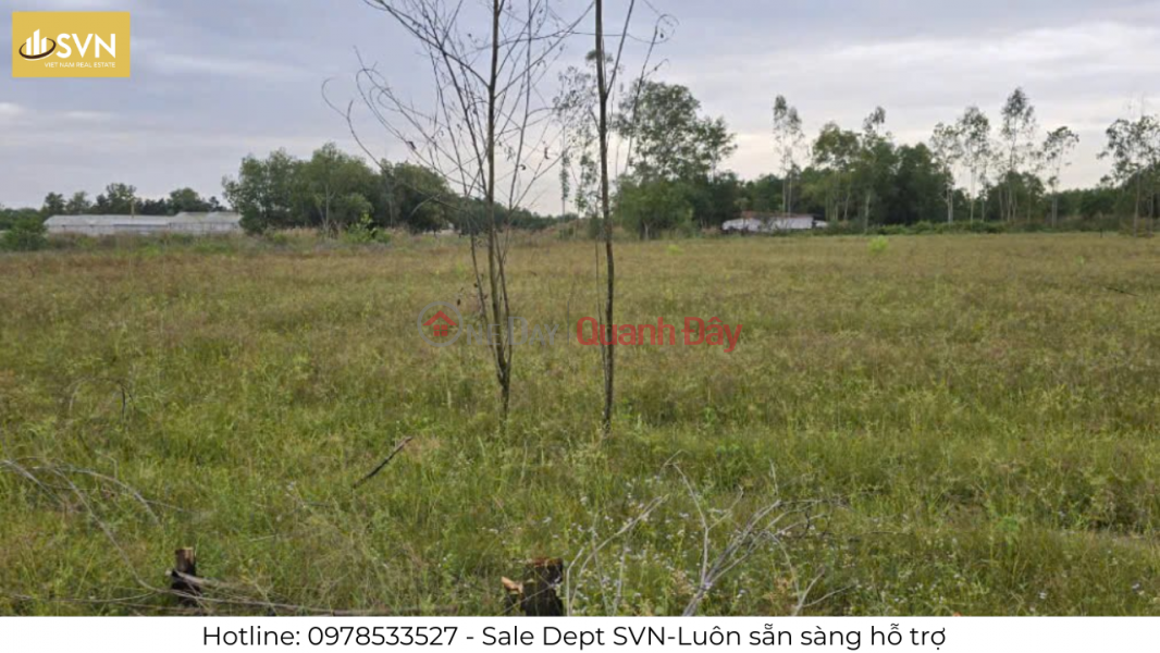 Property Search Vietnam | OneDay | Sales Listings SUPER BEAUTIFUL 2-FRONT LAND LOT IN VINH THANH – NHON TRACH