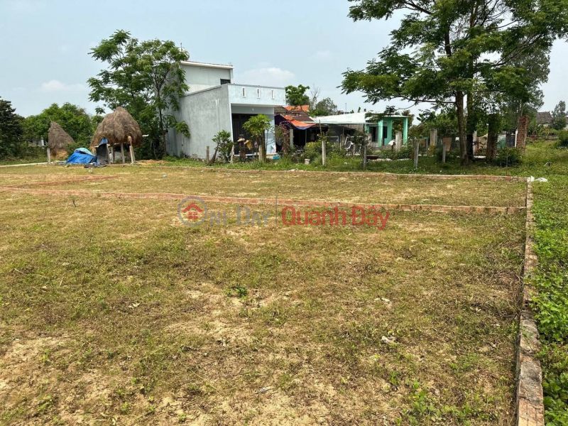 Land for sale in Dien Tien Commune, Dien Ban near Le Trach market, DN Sales Listings