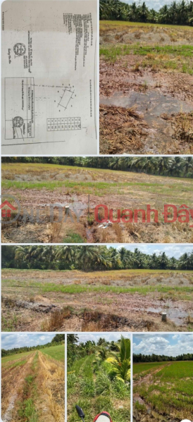 Property Search Vietnam | OneDay | Residential Sales Listings, Owner Quickly Sells 2 Plots of Land in Hamlet 3 - An Truong - Cang Long - Tra Vinh