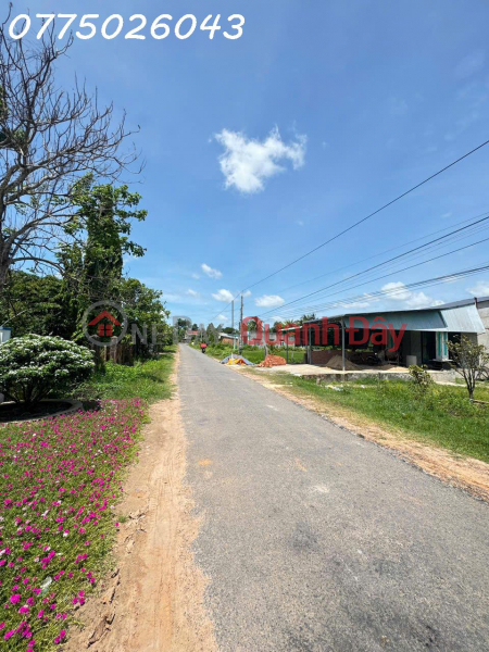 Owner needs to sell a beautiful plot of land in Cau Truong Hamlet, Hao Duoc Commune, area 1,000m2, price 900 million VND. | Vietnam | Sales đ 900 Million