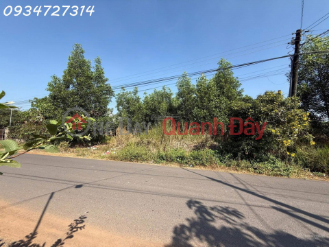 Bán đất giá siêu hời tại Phước Tân - Giang Điền, 6,5 tỷ, 2118 m2 _0