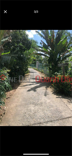 Property Search Vietnam | OneDay | Residential Sales Listings | BEAUTIFUL LAND - GOOD PRICE - OWNER NEEDS TO SELL LAND LOT IN Tan Long Hoi Commune - Mang Thit, Vinh Long Province