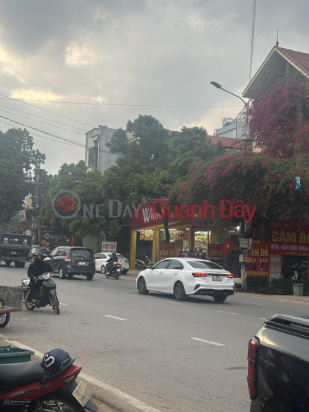 FOR SALE: 266m2 RESIDENTIAL LAND, OWNERSHIP TITLE, FRONTAGE ON NATIONAL HIGHWAY 31, IN THE CENTER OF CHŨ TOWN, LỤC NGẠN DISTRICT. Vietnam Sales | đ 10.6 Billion