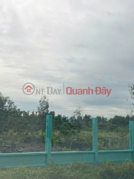 Property Search Vietnam | OneDay | Nhà ở Niêm yết bán, Đất Nở hậu Đường 8m thông 1851m2 – Cây Gỗ CC