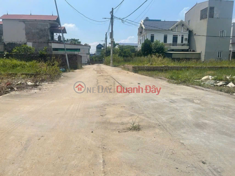 Beautiful land in Ấp Tre village (Group 9, Quang Minh),Mê Linh. Square plot, wide frontage, grid-patterned road network. Vietnam | Sales | đ 3.3 Billion