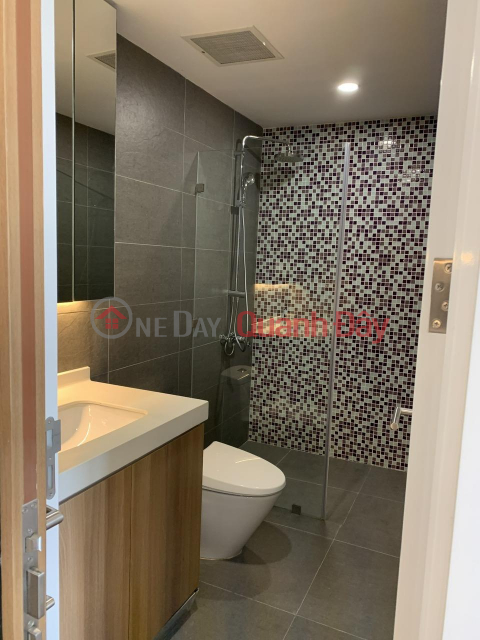 OWNER Needs to Sell Apartment at Republic Plaza Project, Cong Hoa Street, Ward 4, Tan Binh, HCM _0