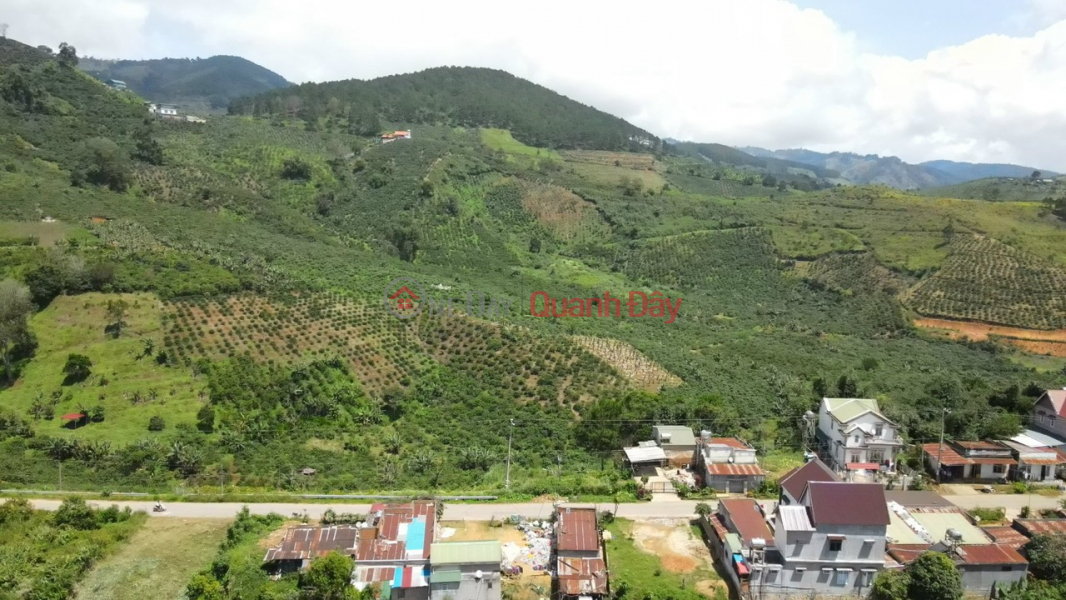 Land for sale with asphalt road frontage in Phu Son commune, Lam Ha, Lam Dong at investment price. Sales Listings