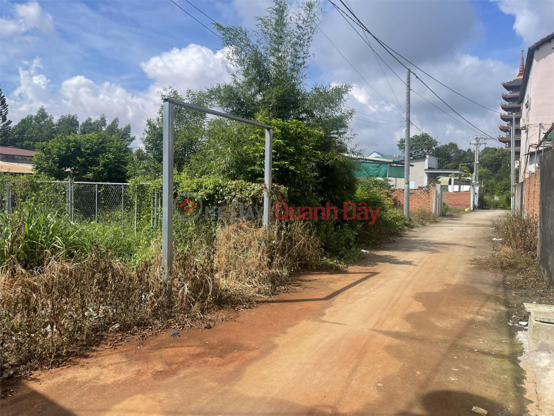 Beautiful Land - Good Price - Owner Needs to Sell Land at Long Thanh Airport, Long Thanh District, Dong Nai Sales Listings