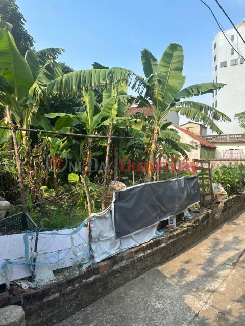 ĐẤT RỘNG 191M² – MẶT TIỀN QUYỀN LỰC – CỰC KỲ PHÙ HỢP CHIA LÔ ĐẦU TƯ GIÁ 16 TỶ _0