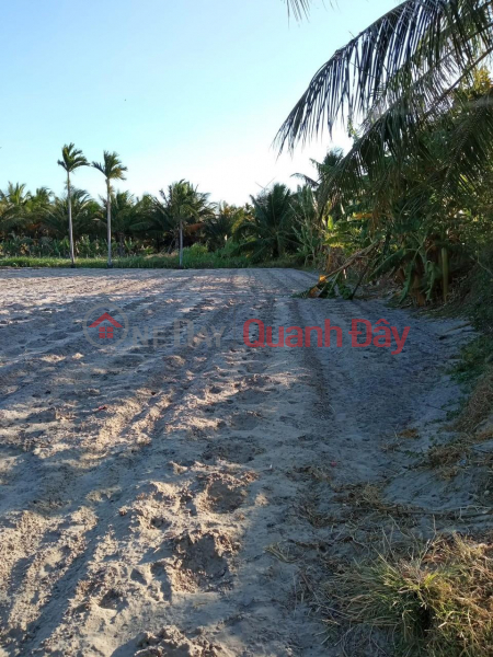 Owner For Sale Land Lot In Phu Lac Commune, Lien Huong Town, Tuy Phong District, Binh Thuan Vietnam Sales đ 370 Million