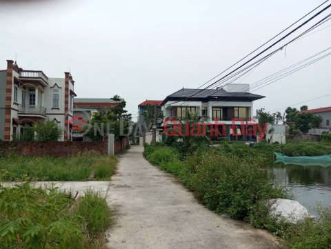 Land for sale in Thuan Thanh, Bac Ninh. 80m2 * frontage 4.5m * 2.65 billion. Cars can pass through, into the land. _0
