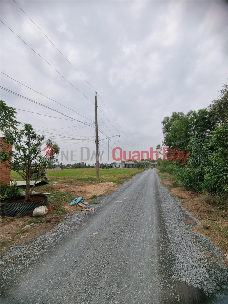 FOR URGENT SALE Land Facade Beautiful Location In An Hoa Hamlet, Binh Hoa Bac Commune, Duc Hue District - Long An, Vietnam Sales | đ 1.3 Billion