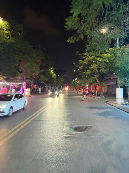 Property Search Vietnam | OneDay | Residential Sales Listings, Mang Nuoc Street - An Duong, Hai Phong - Super wide 8m sidewalk - Prime location for high-profit business.