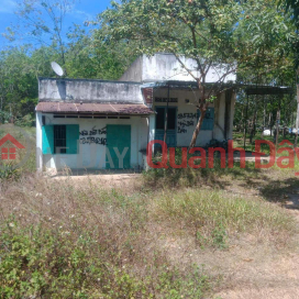 Owner Needs to Sell a Beautiful Land Plot in Lac Tanh Town, Tanh Linh District, Binh Thuan _0