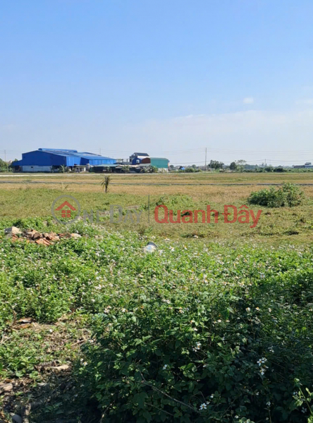 Property Search Vietnam | OneDay | Residential Sales Listings, FOR SALE: BEAUTIFUL PLOT OF LAND - GREAT PRICE - Prime location near Yen Dong Commune People's Committee, Ninh Binh Province - Full amenities