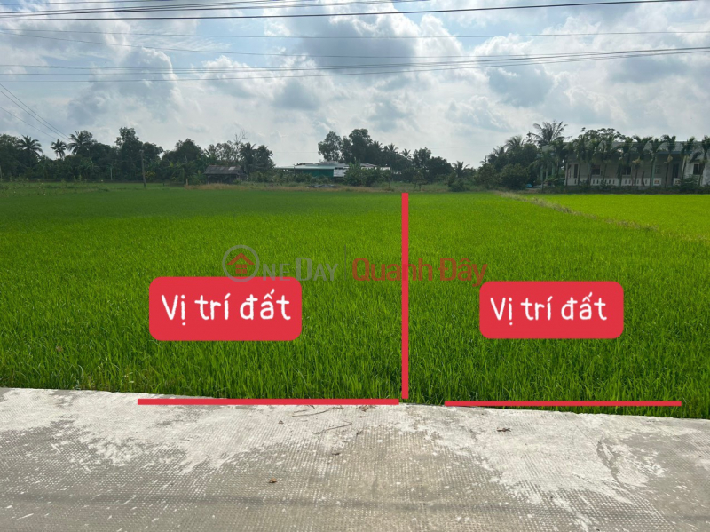 Binh Tinh - Tan Tru - Long An Vietnam Sales | ₫ 420 Million