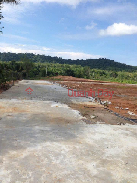 đ 900 Million | OWNER SELLS LAND LOT IN Hamlet 3, Cua Can Commune, Phu Quoc City - Pearl Island - Kien Giang