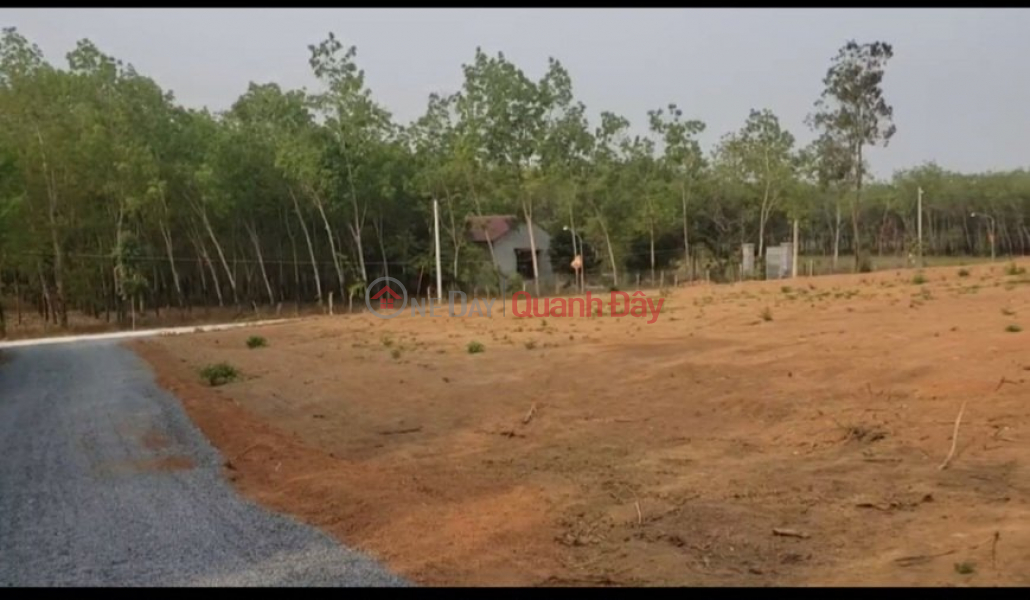 Property Search Vietnam | OneDay | Residential, Sales Listings BEAUTIFUL LOT - ORIGINAL - EXTREMELY FLOW PRICE In Minh Tam, Hon Quan, Binh Phuoc Province