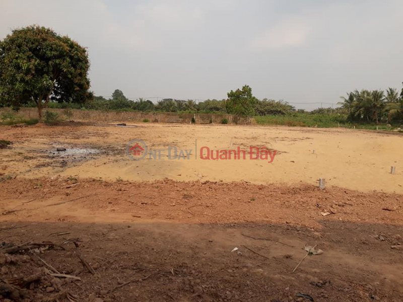Property Search Vietnam | OneDay | Residential Sales Listings | HOT!!! BEAUTIFUL LAND - SUPER INVESTMENT PRICE - Land for sale in Phu Binh, Phu Tan, An Giang