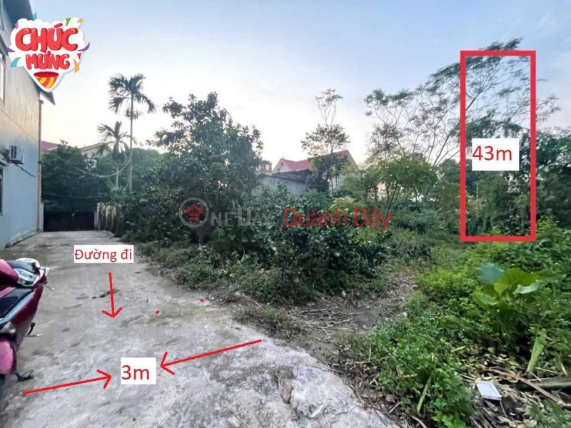 ONLY A FEW HUNDRED MILLION VND TO OWN A LOT OF LAND IN THANH BINH-CHUONG MY Sales Listings