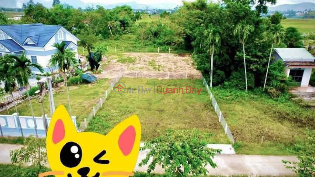 Property Search Vietnam | OneDay | , Sales Listings, For sale main plot of land in Dien Tien commune, wide road, price 620 million