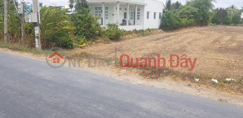 BEAUTIFUL LAND - GOOD PRICE - Owner Needs to Sell Land Lot FRONT FACE in My Phu Commune, Thu Thua, Long An _0