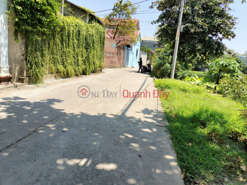 Property Search Vietnam | OneDay | Residential, Sales Listings, Selling 138m2 full residential land in Phu Nghia with car and land for 2.8 billion