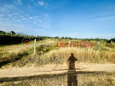 CODE 964 (NH-20): LAND FOR SALE IN NINH XUAN, NINH HOA WITH INVESTMENT PRICE, HIGH POTENTIAL. _0
