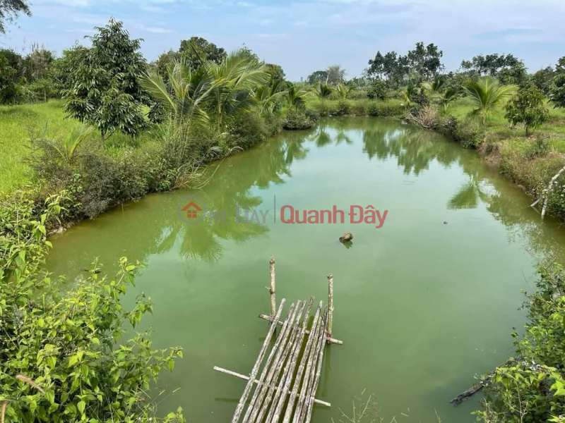 Property Search Vietnam | OneDay | Residential | Sales Listings OWNER Needs to Sell Durian Planting Land - In Village 11, Hoa Nam, Di Linh, Lam Dong