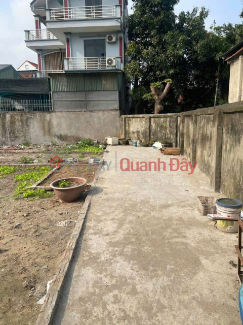 Urgent sale of beautiful land in Vinh Trung - One house away from the main road, near the Olympic area - Ideal for building a home or investment. _0