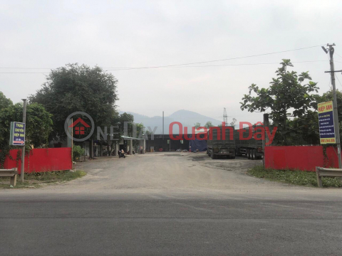 INVEST - PROFIT - FACTORY FOR LEASE Nam Hai Van Road (Near Hoang Van Thai) _0