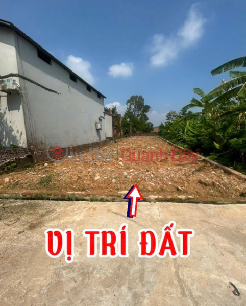 BEAUTIFUL LAND WITH FULL RESIDENTIAL LAND - OWNER FOR QUICK SALE At XUAN DONG, TAN MINH, SOC SON Sales Listings