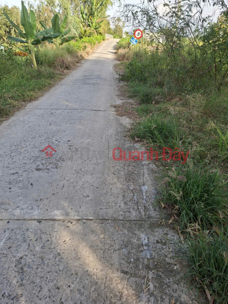 Property Search Vietnam | OneDay | Residential, Sales Listings, PRIME LAND - GREAT PRICE - DIRECT OWNER Selling Land with Frontage in Tuyen Thanh Commune, Tay Ninh