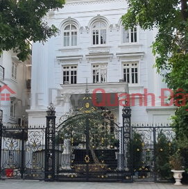 New house for rent by owner, 75m2, 4T, Office, Business, Restaurant, Dai La-20M _0