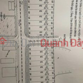 Land for sale at auction in Trinh Xa, Chi Dao, Van Lam, Hung Yen _0