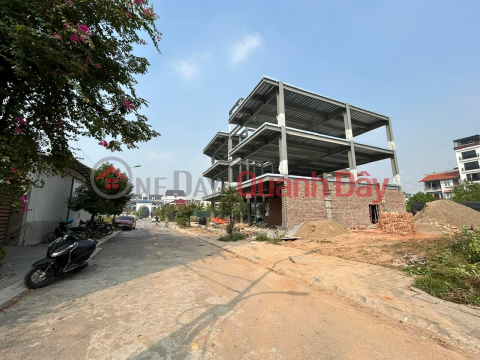 Villa land for sale in Co Duong Urban Area, Tien Duong, Dong Anh _0