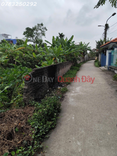 CHÍNH CHỦ CẦN BÁN LÔ ĐẤT ĐẸP VÂN QUAN ĐA PHÚC DƯƠNG KINH HẢI PHÒNG _0