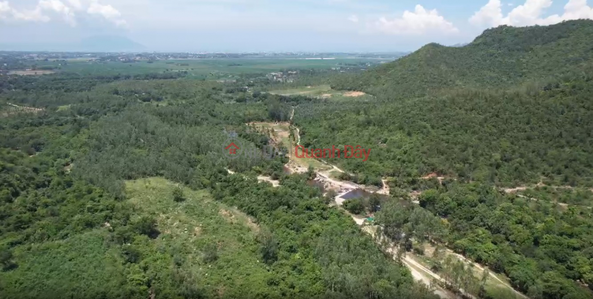 Property Search Vietnam | OneDay | Nhà ở Niêm yết bán, CHÍNH CHỦ BÁN ĐẤT 496ha có sổ đỏ. Chuyển đổi được 100ha sang Đất DVTM