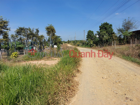 GENERAL LAND- FOR QUICK SALE Beautiful plot of land in Di Linh district, Lam Dong province _0