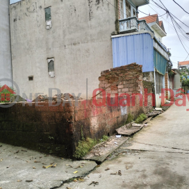 Owner sells 41m lot, corner of Phuong Nghia, Phung Chau, Chuong My, Hanoi _0