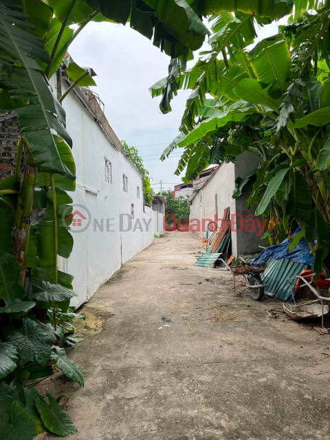 RARE PROPERTY IN LE CHI - THUAN AN, 44.6M², 5.2M FRONTAGE, CAR ACCESS, SLIGHTLY OVER 2 BILLION VND _0