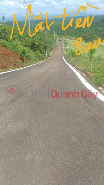 Property Search Vietnam | OneDay | Residential, Sales Listings | OWNER NEEDS TO SELL URGENCY Land Fronting Provincial Road 725, Loc Ngai, Bao Lam, Lam Dong.