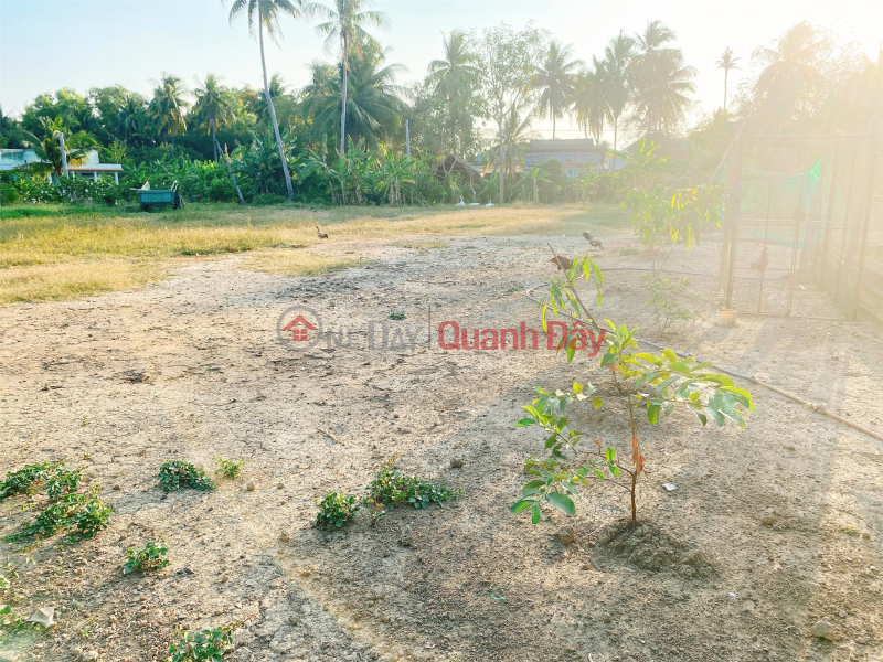 Property Search Vietnam | OneDay | Residential | Sales Listings OWNER NEEDS TO SELL QUICK Beautiful Lot In Hoa Phu, Long Binh Commune, Go Cong Tay District, Tien Giang